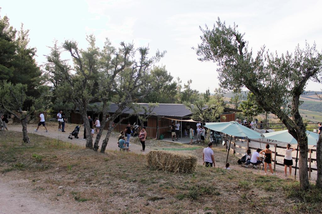 Tenuta Gran Bosco Loro Piceno Exterior foto